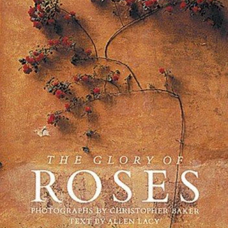 Glory of Roses