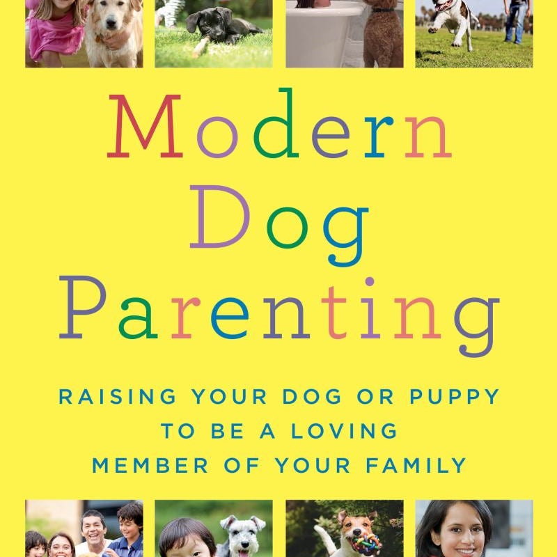 Modern Dog Parenting