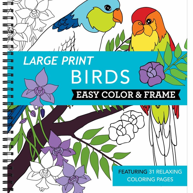 Large Print Easy Color & Frame - Birds