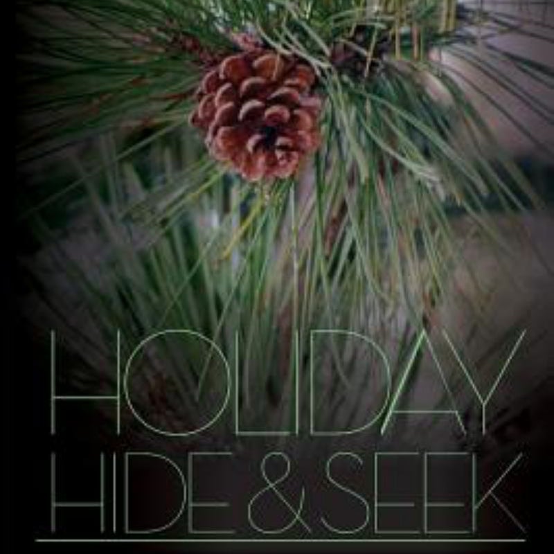 Holiday Hide and Seek