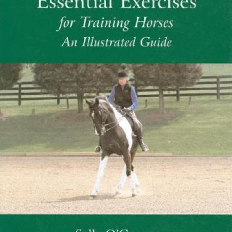 Essential Exercises for Training Horses