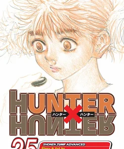 Hunter X Hunter, Vol. 25