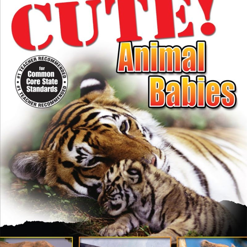 CUTE! Animal Babies, Level 1