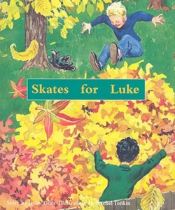 Skates for Luke