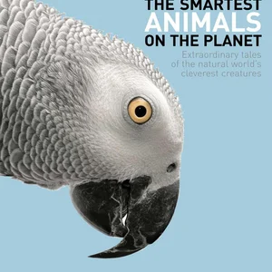 The Smartest Animals on the Planet