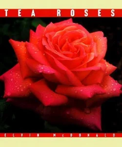 Tea Roses