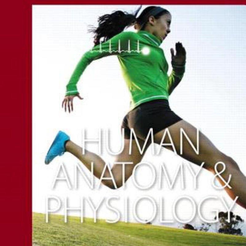 Human Anatomy and Physiology