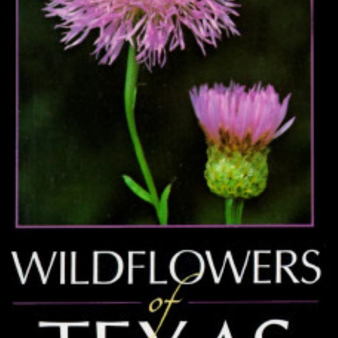 Wildflowers of Texas