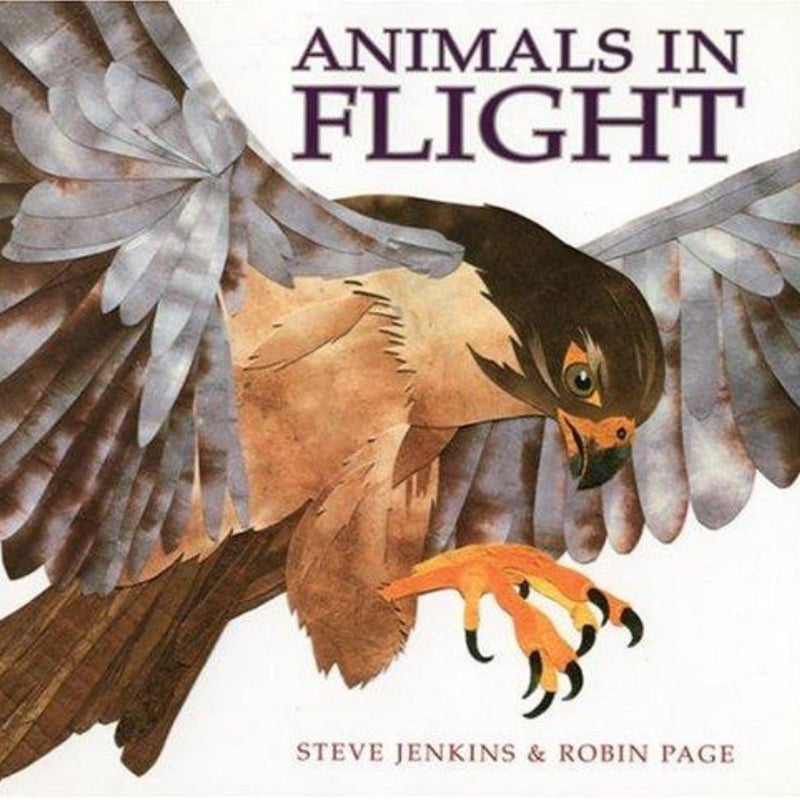 Animals in Flight