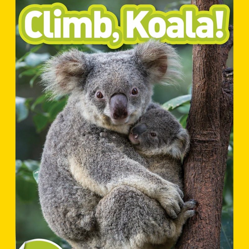 Climb, Koala! (National Geographic Kids Readers, Pre-Reader)