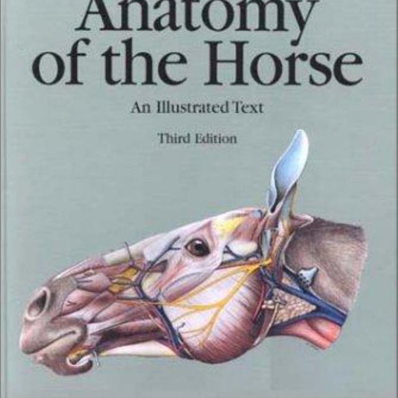 Anatomy of the Horse