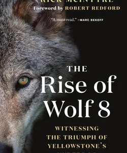 The Rise of Wolf 8