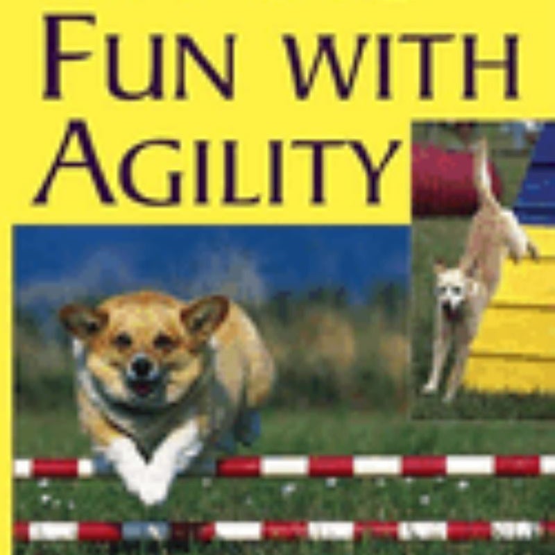 Having Fun with Agility