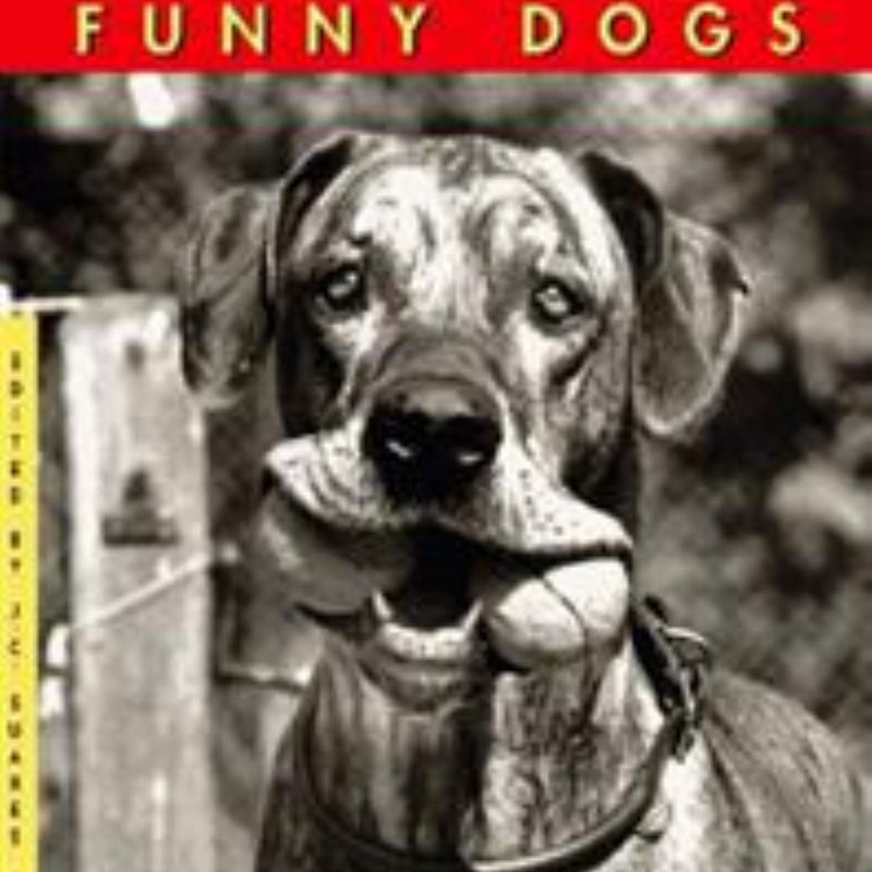 Funny Dogs