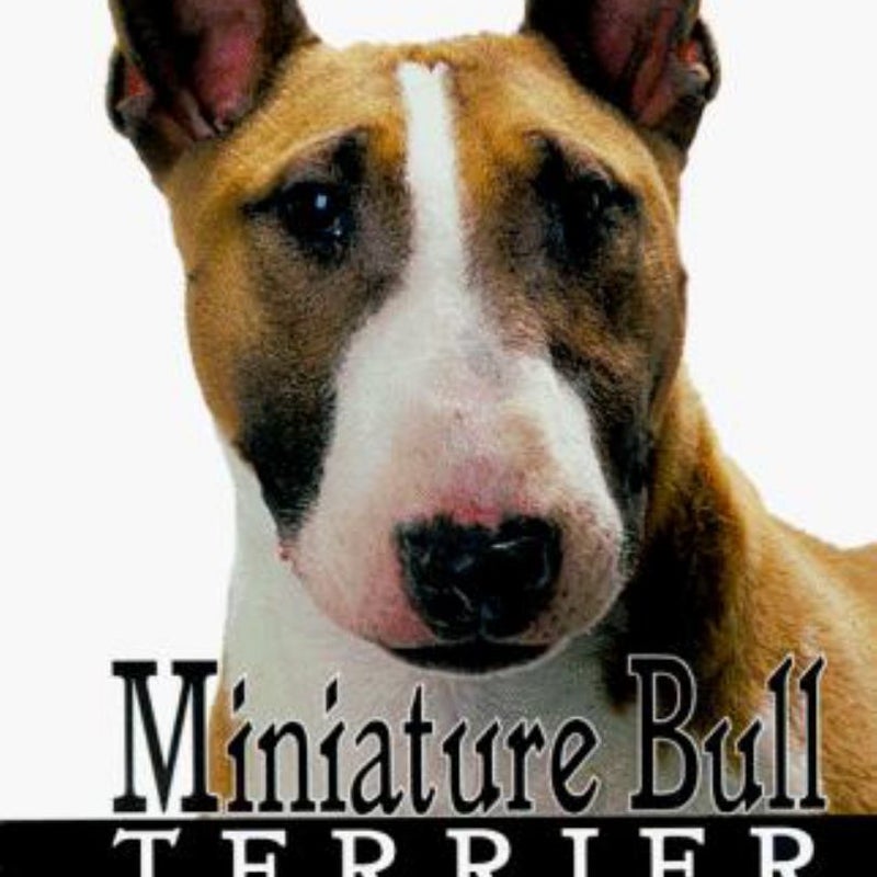 Miniature Bull Terrier