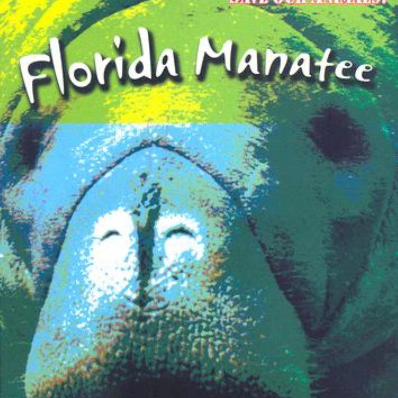 Florida Manatee