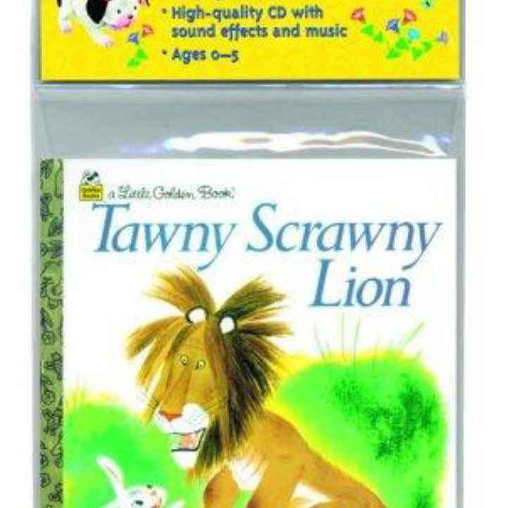 Tawny Scrawny Lion