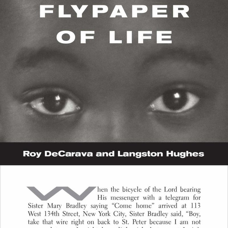 The Sweet Flypaper of Life (softcover)