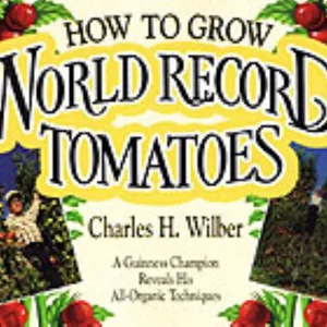 How to Grow World Record Tomatoes