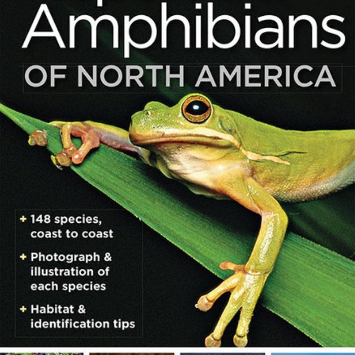 National Geographic Pocket Guide to Reptiles and Amphibians of North America